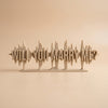 The Proposal Audio Waveform