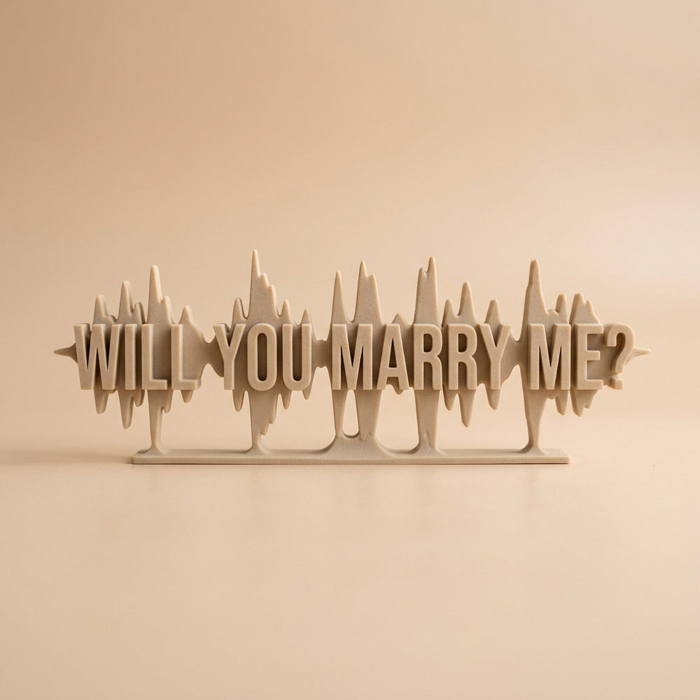 The Proposal Audio Waveform