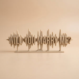 The Proposal Audio Waveform