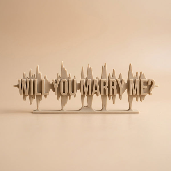 The Proposal Audio Waveform