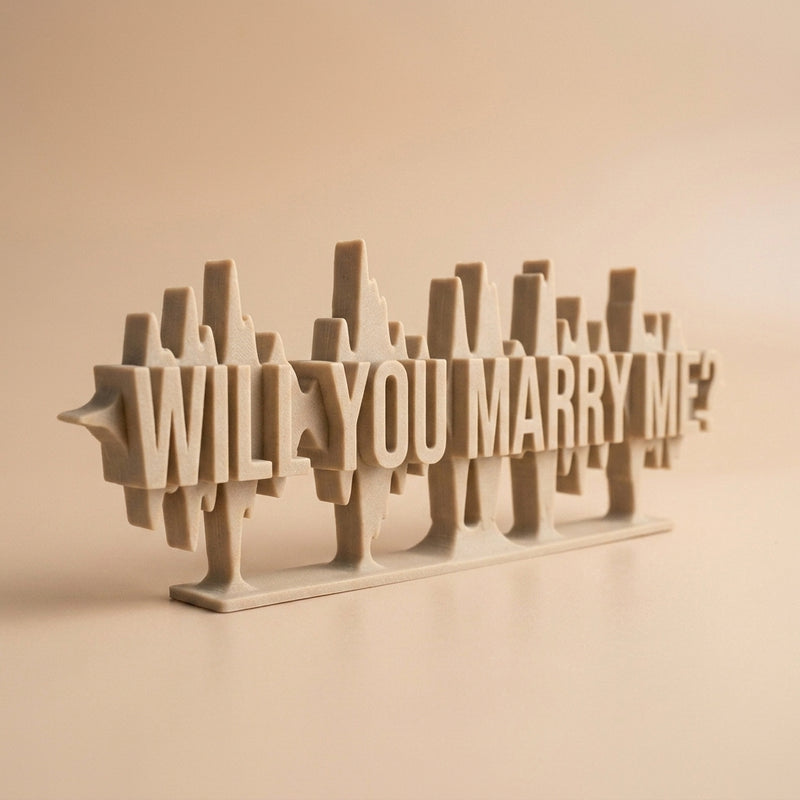 The Proposal Audio Waveform detail